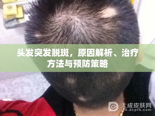 駕輕就熟