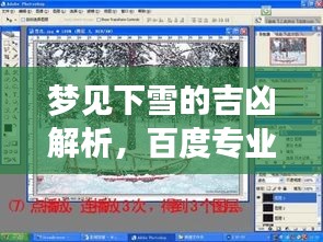 夢(mèng)見(jiàn)下雪的吉兇解析，百度專業(yè)解讀您的夢(mèng)境之謎