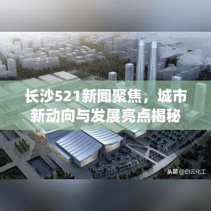 達(dá)官貴人