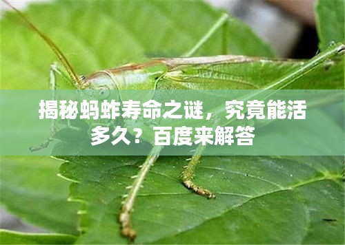 地覆天翻