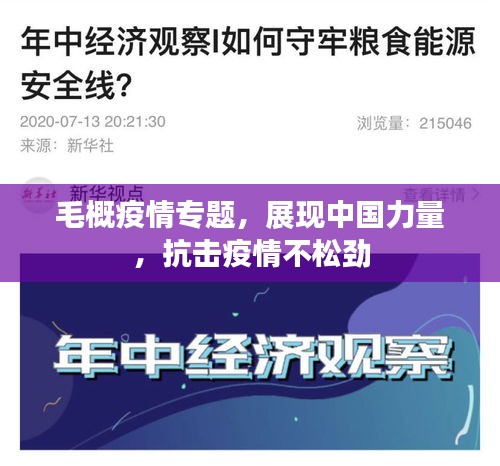 毛概疫情專題，展現(xiàn)中國力量，抗擊疫情不松勁
