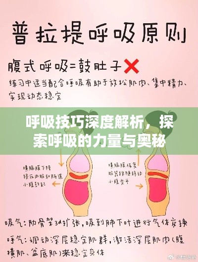 呼吸技巧深度解析，探索呼吸的力量與奧秘