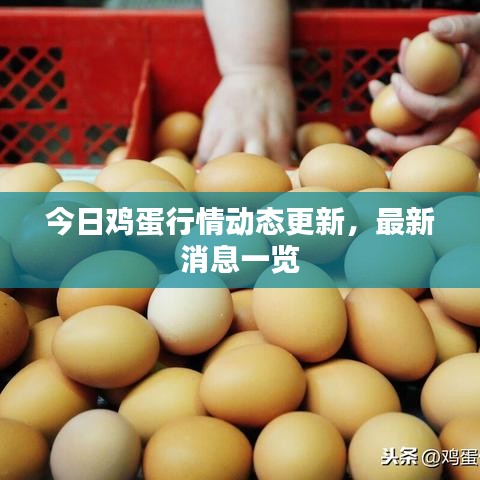 飛鳥依人