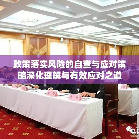 政策落實(shí)風(fēng)險(xiǎn)的自查與應(yīng)對(duì)策略深化理解與有效應(yīng)對(duì)之道