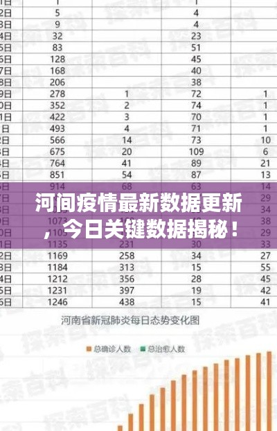 河間疫情最新數(shù)據(jù)更新，今日關(guān)鍵數(shù)據(jù)揭秘！