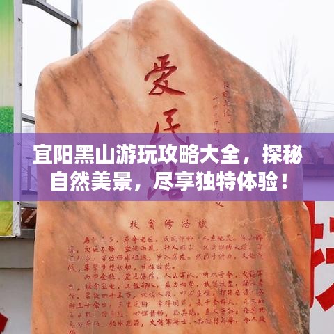 坌鳥先飛