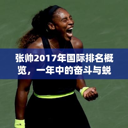 張帥2017年國(guó)際排名概覽，一年中的奮斗與蛻變