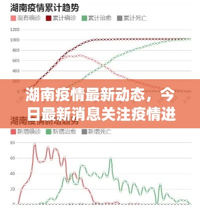 湖南疫情最新動態(tài)，今日最新消息關(guān)注疫情進(jìn)展