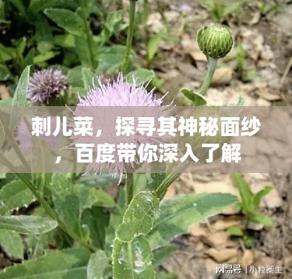 不恥下問