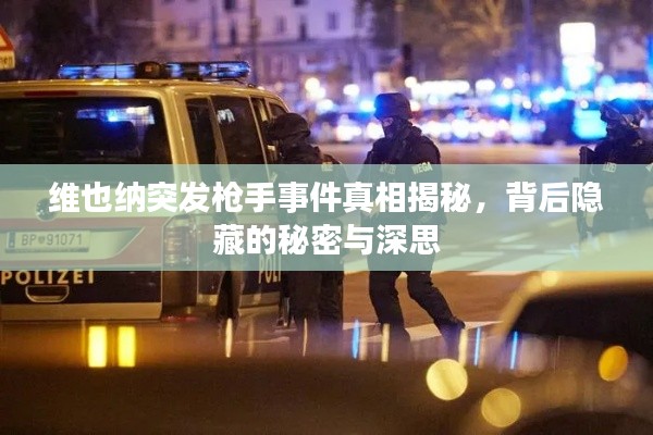 維也納突發(fā)槍手事件真相揭秘，背后隱藏的秘密與深思
