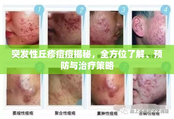 都中紙貴
