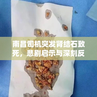 南昌司機(jī)突發(fā)腎結(jié)石致死，悲劇啟示與深刻反思