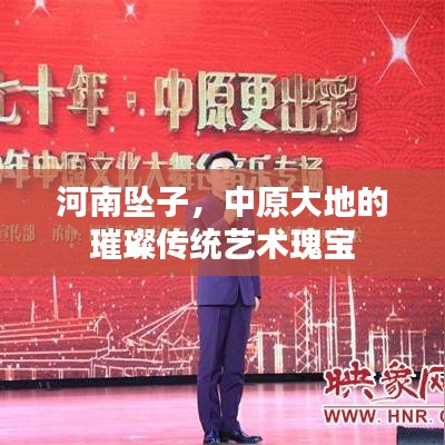 河南墜子，中原大地的璀璨傳統(tǒng)藝術(shù)瑰寶