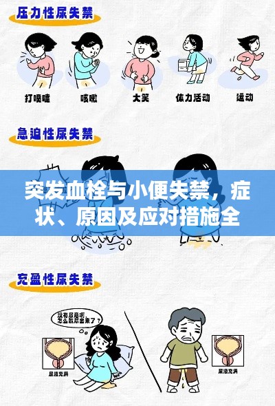 突發(fā)血栓與小便失禁，癥狀、原因及應對措施全解析