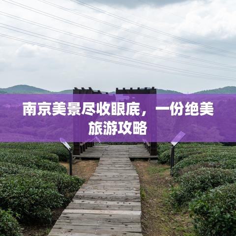 南京美景盡收眼底，一份絕美旅游攻略