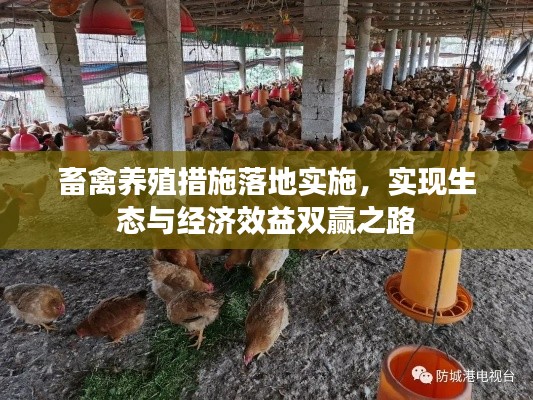 畜禽養(yǎng)殖措施落地實(shí)施，實(shí)現(xiàn)生態(tài)與經(jīng)濟(jì)效益雙贏之路