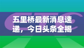 五里橋最新消息速遞，今日頭條全揭秘！