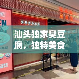 汕頭獨(dú)家臭豆腐，獨(dú)特美食之旅，讓你一吃難忘！