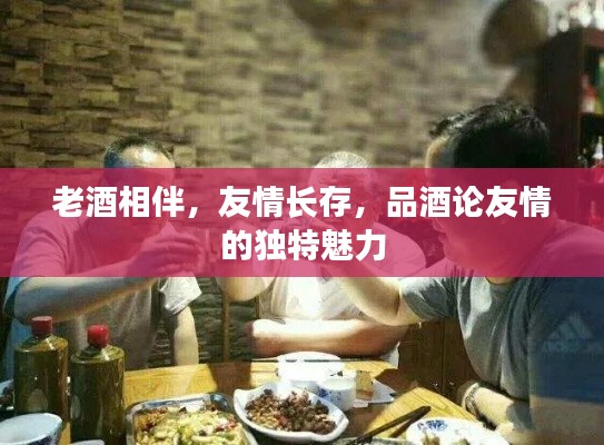 老酒相伴，友情長(zhǎng)存，品酒論友情的獨(dú)特魅力