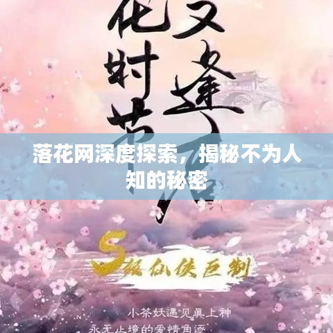 落花網(wǎng)深度探索，揭秘不為人知的秘密