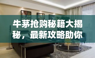 牛茅搶購秘籍大揭秘，最新攻略助你輕松掌握搶購訣竅！