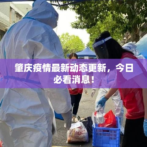 肇慶疫情最新動態(tài)更新，今日必看消息！