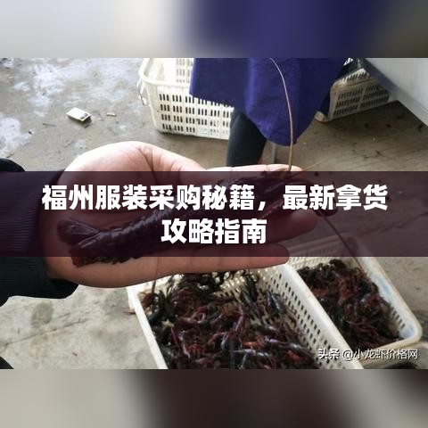 福州服裝采購(gòu)秘籍，最新拿貨攻略指南