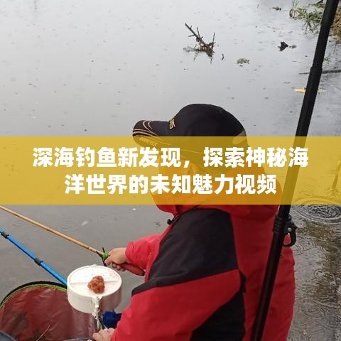 深海釣魚新發(fā)現(xiàn)，探索神秘海洋世界的未知魅力視頻