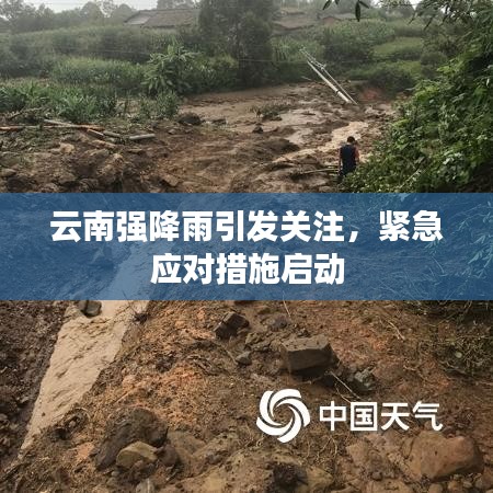 云南強(qiáng)降雨引發(fā)關(guān)注，緊急應(yīng)對(duì)措施啟動(dòng)