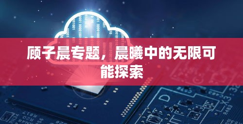 顧子晨專題，晨曦中的無(wú)限可能探索