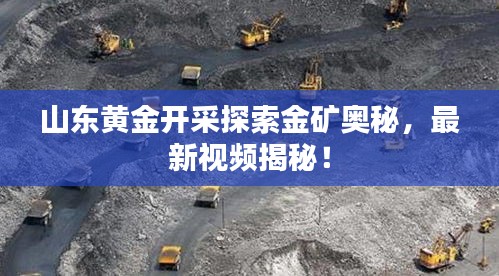 山東黃金開采探索金礦奧秘，最新視頻揭秘！