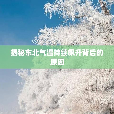 揭秘東北氣溫持續(xù)飆升背后的原因