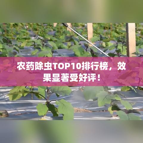 農(nóng)藥除蟲TOP10排行榜，效果顯著受好評！