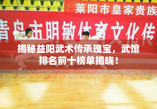 揭秘益陽(yáng)武術(shù)傳承瑰寶，武館排名前十榜單揭曉！