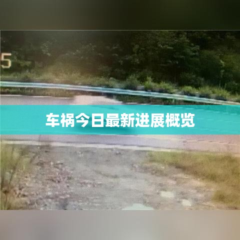 車禍今日最新進(jìn)展概覽