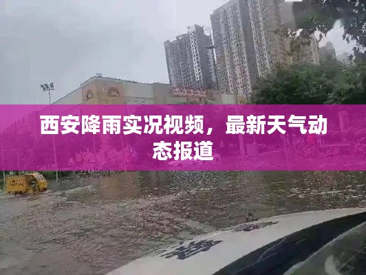 西安降雨實況視頻，最新天氣動態(tài)報道