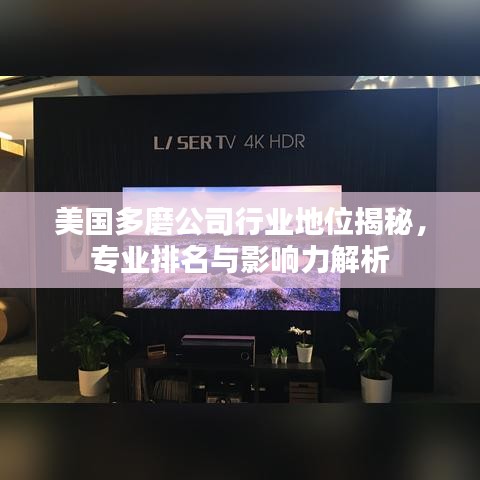 美國(guó)多磨公司行業(yè)地位揭秘，專(zhuān)業(yè)排名與影響力解析