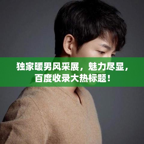 獨家暖男風(fēng)采展，魅力盡顯，百度收錄大熱標(biāo)題！