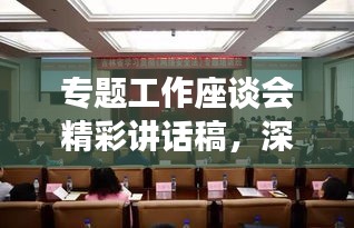 專題工作座談會(huì)精彩講話稿，深入探討與前瞻展望