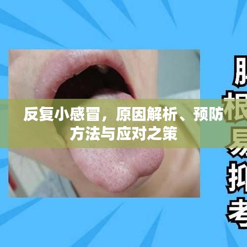 反復(fù)小感冒，原因解析、預(yù)防方法與應(yīng)對之策