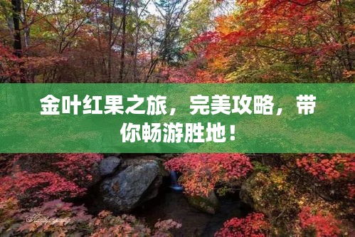 金葉紅果之旅，完美攻略，帶你暢游勝地！