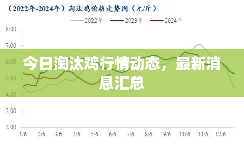 今日淘汰雞行情動態(tài)，最新消息匯總