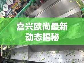 嘉興歐尚最新動態(tài)揭秘