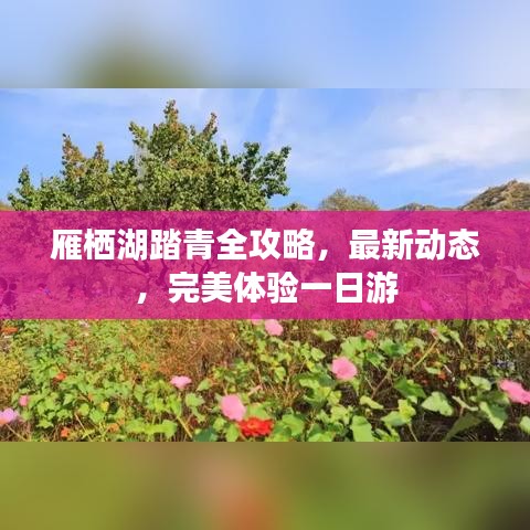 雁棲湖踏青全攻略，最新動態(tài)，完美體驗一日游