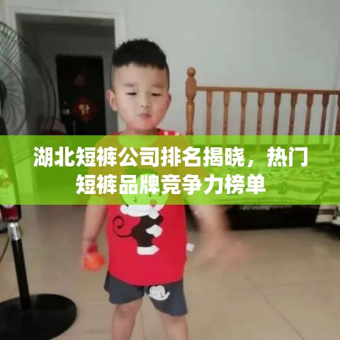 湖北短褲公司排名揭曉，熱門短褲品牌競爭力榜單