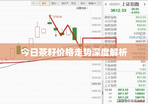今日茶籽價格走勢深度解析