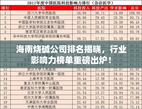 海南燒堿公司排名揭曉，行業(yè)影響力榜單重磅出爐！
