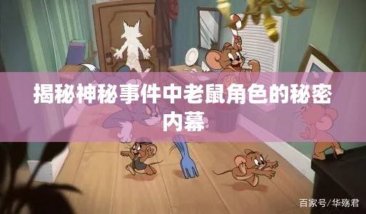 揭秘神秘事件中老鼠角色的秘密內(nèi)幕