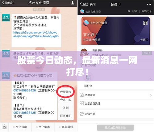 股票今日動態(tài)，最新消息一網(wǎng)打盡！