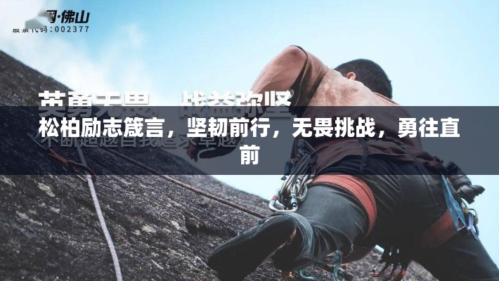 松柏勵志箴言，堅韌前行，無畏挑戰(zhàn)，勇往直前